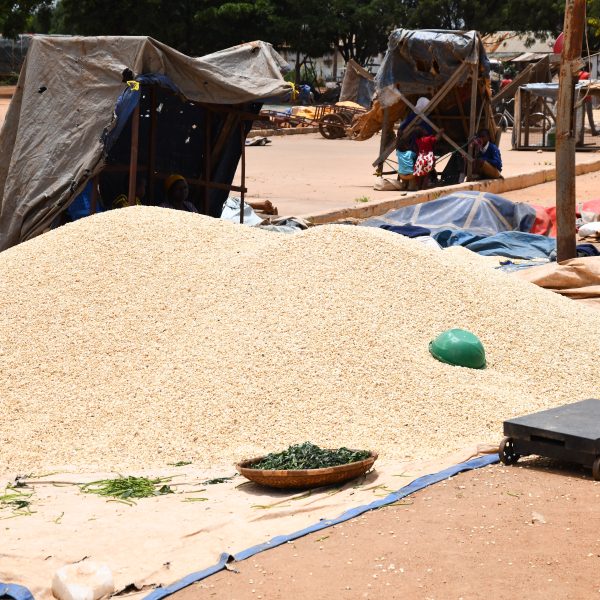 Kibaigwa : un marché céréalier à ciel ouvert